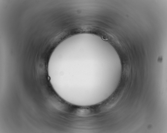 X0000096150220200802011240