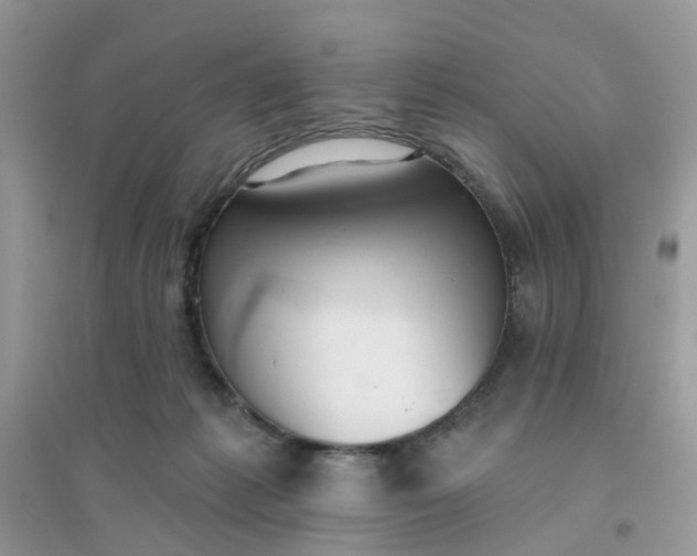 X0000096150221200802011240
