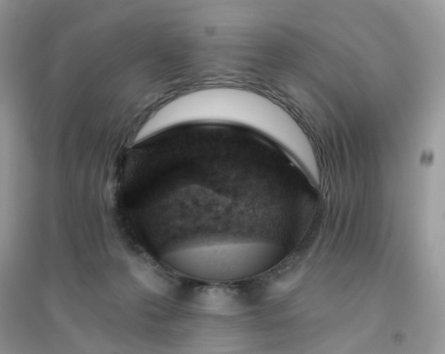 X0000096150223200802011240
