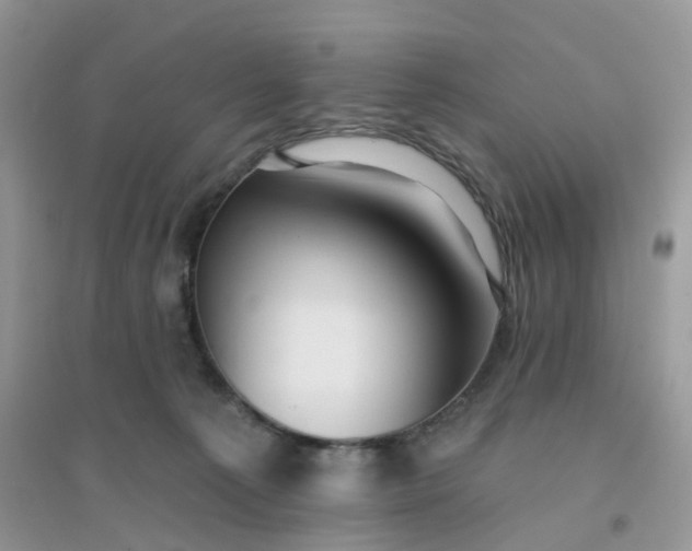 X0000096150225200802011240
