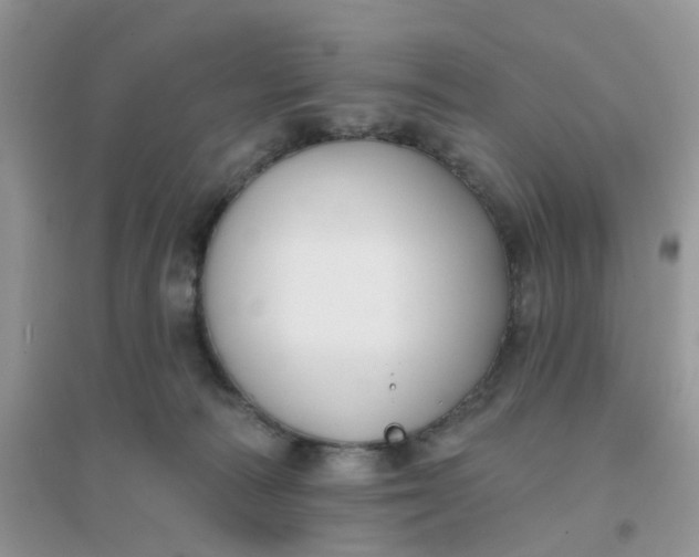 X0000096150226200802011240
