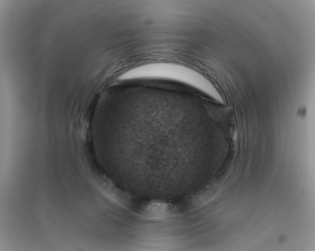 X0000096150227200802011240