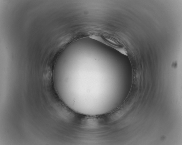 X0000096150228200802011240