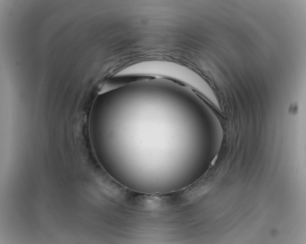 X0000096150229200802011240