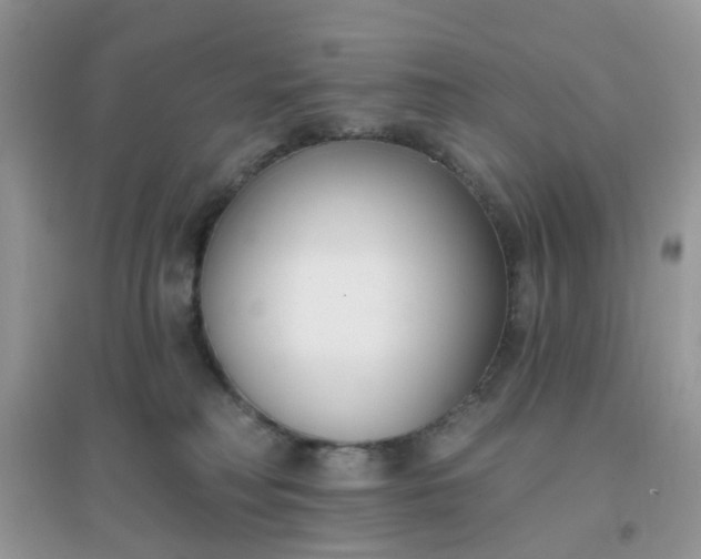 X0000096150230200802011240
