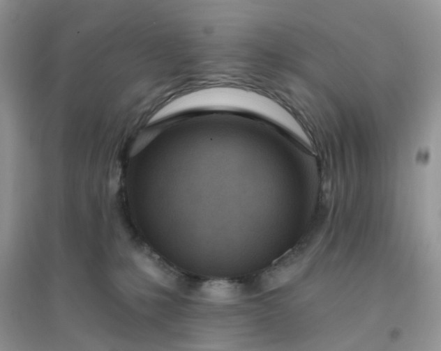 X0000096150231200802011240