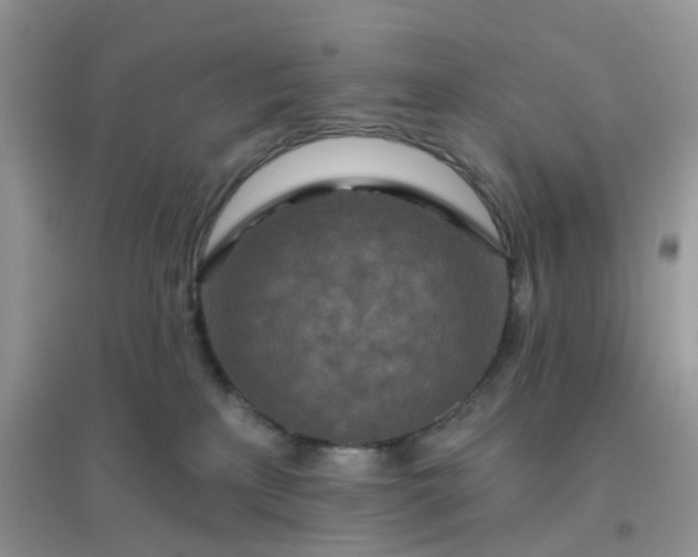 X0000096150233200802011240
