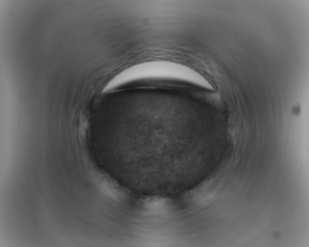 X0000096150235200802011240