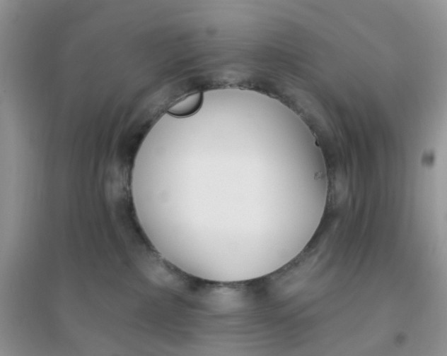 X0000096150236200802011240