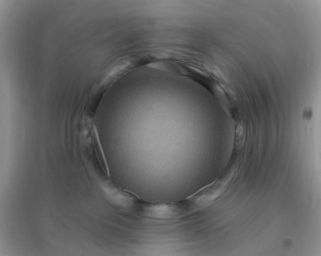 X0000096150237200802011240