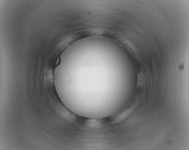 X0000096150238200802011240