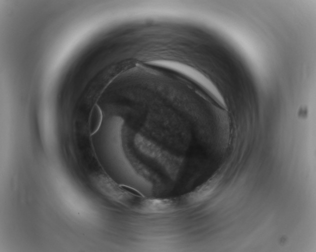 X0000096150239200802011240