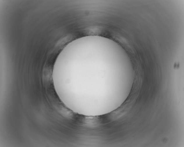 X0000096150240200802011240