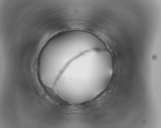 X0000096150241200802011239