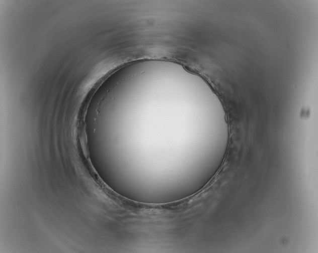 X0000096150242200802011239