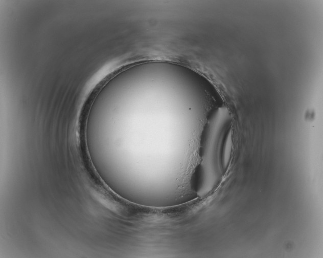 X0000096150246200802011239