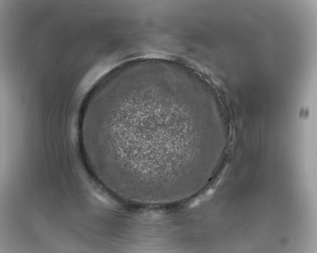 X0000096150247200802011239