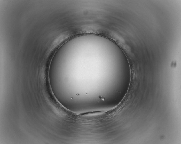 X0000096150250200802011239