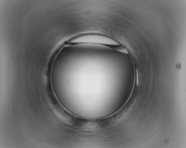 X0000096150252200802011239