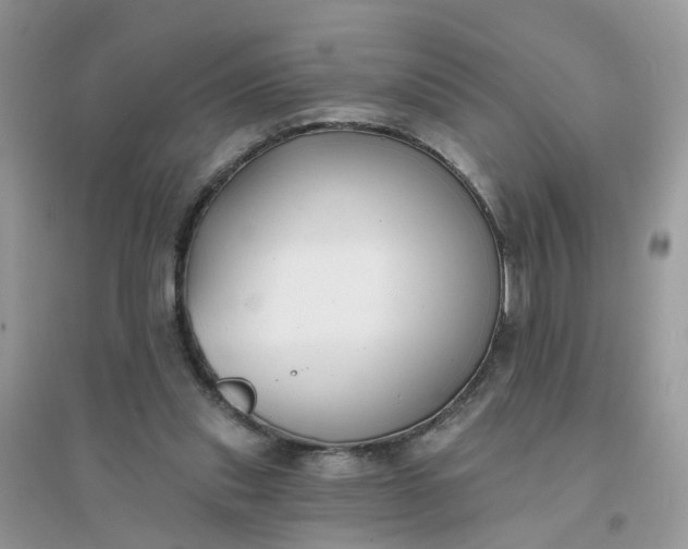 X0000096150253200802011239