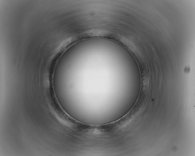 X0000096150254200802011239