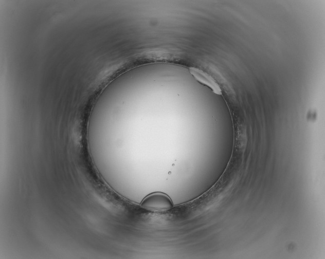 X0000096150255200802011239