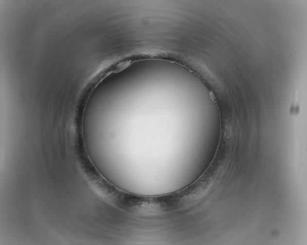 X0000096150256200802011239