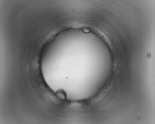X0000096150257200802011239