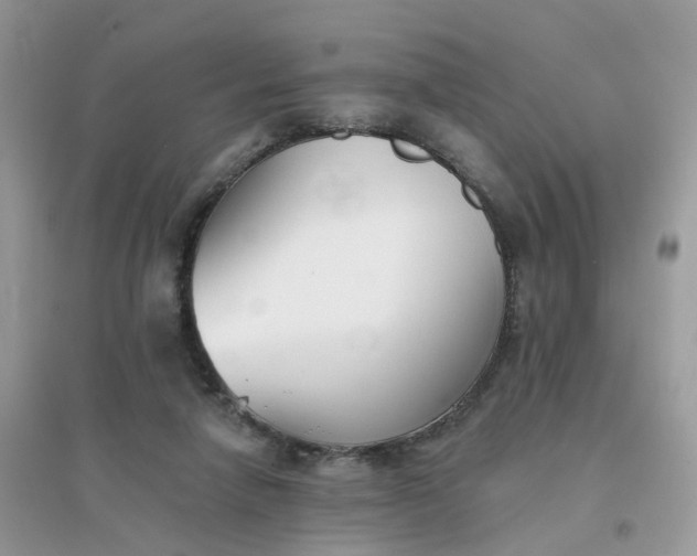 X0000096150258200802011239