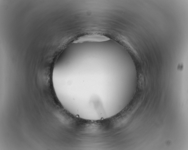 X0000096150259200802011239