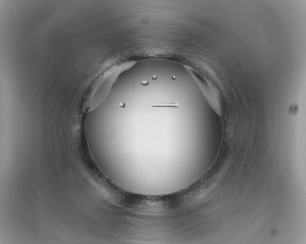 X0000096150260200802011239