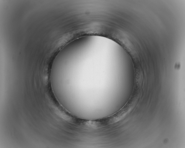 X0000096150261200802011239