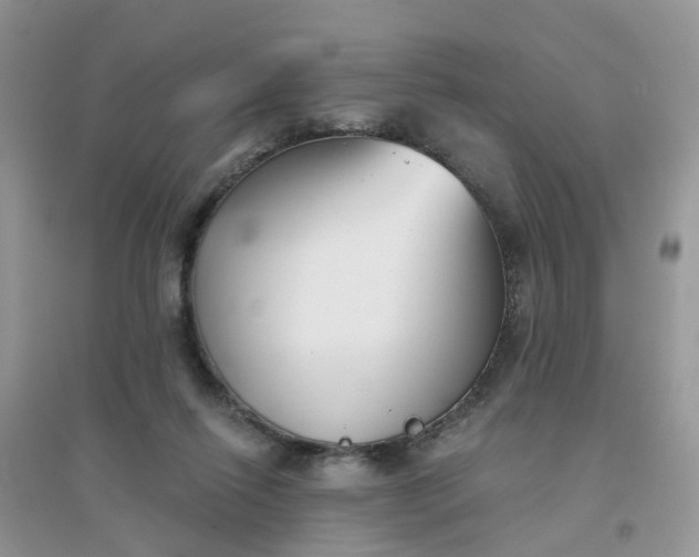 X0000096150262200802011239