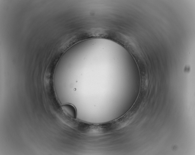 X0000096150263200802011239