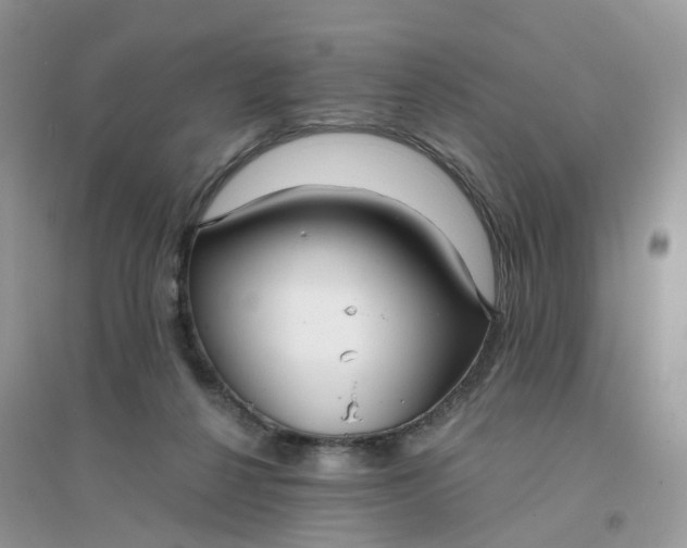 X0000096150264200802011239