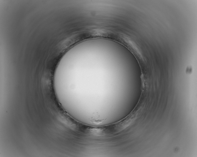 X0000096150265200802011239
