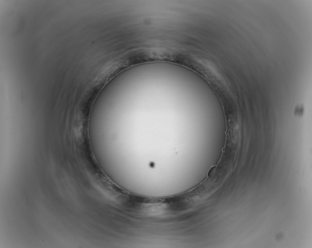 X0000096150266200802011239