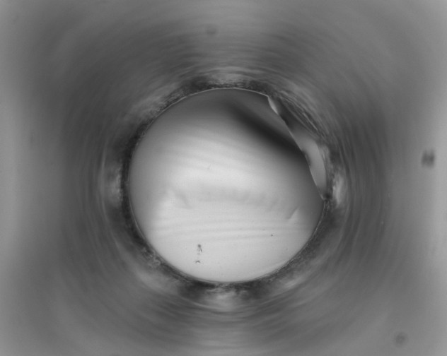 X0000096150267200802011239