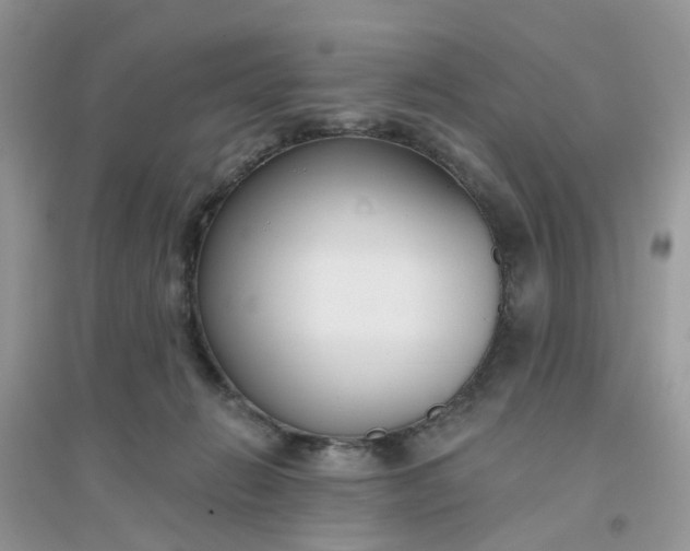 X0000096150270200802011239