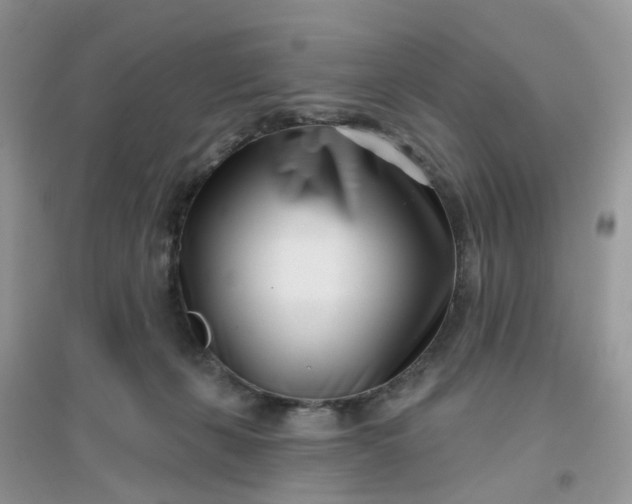 X0000096150271200802011239