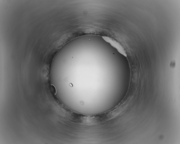 X0000096150273200802011239