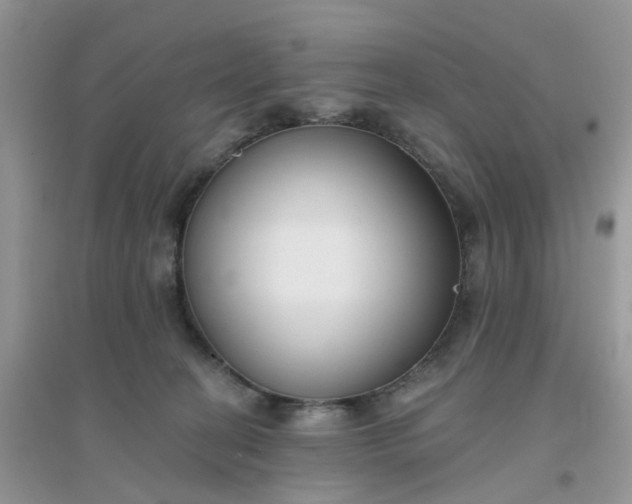 X0000096150274200802011239