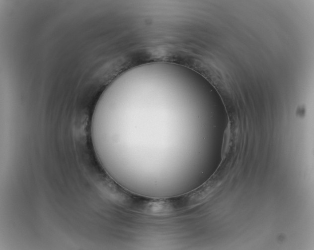X0000096150275200802011239