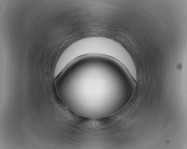 X0000096150276200802011239