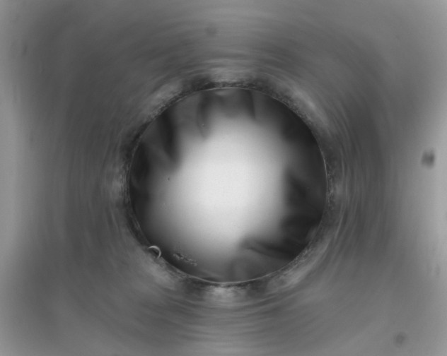 X0000096150277200802011239