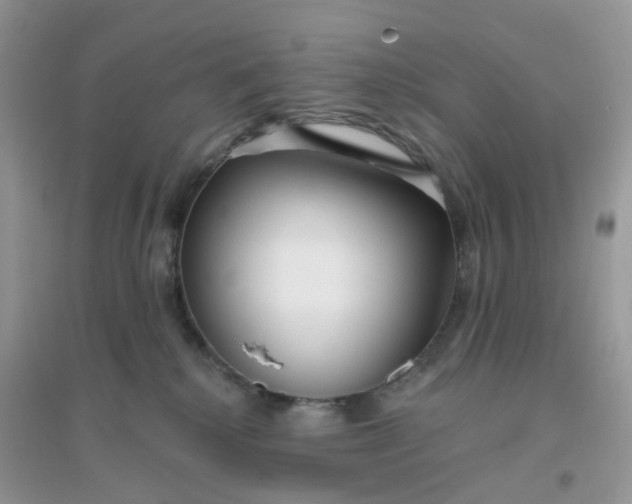 X0000096150280200802011239