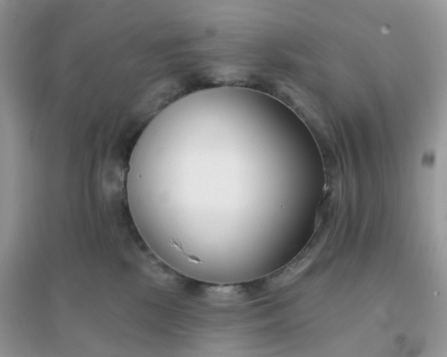 X0000096150281200802011239