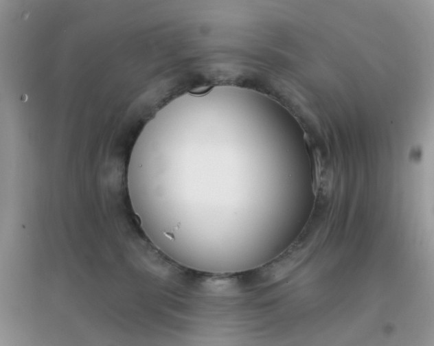 X0000096150283200802011240