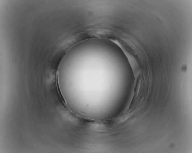 X0000096150284200802011240