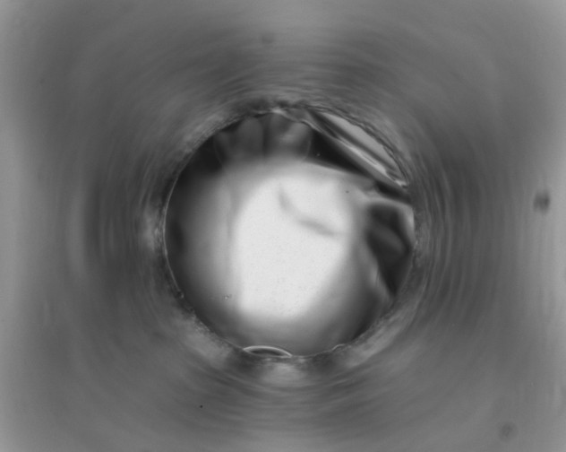 X0000096150285200802011240
